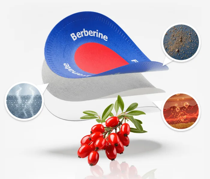 Purisaki Berberine Patch &mdash; USA Official 30-Day Program